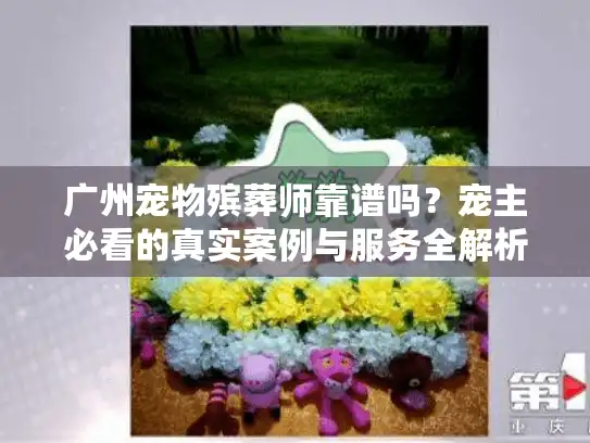 广州宠物殡葬师靠谱吗？宠主必看的真实案例与服务全解析