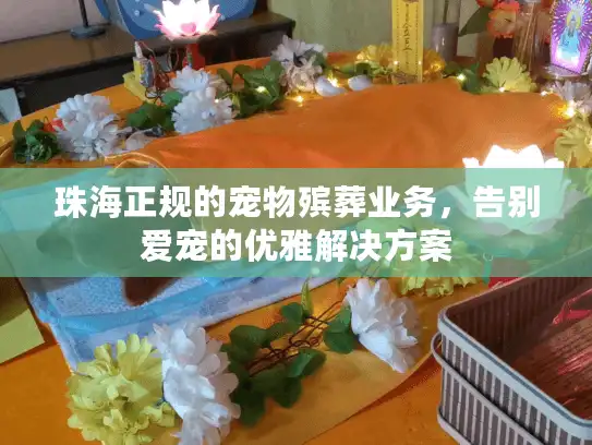 珠海正规的宠物殡葬业务,告别爱宠的优雅解决方案 珠海正规的宠物殡葬业务,告别爱宠的优雅解决方案
