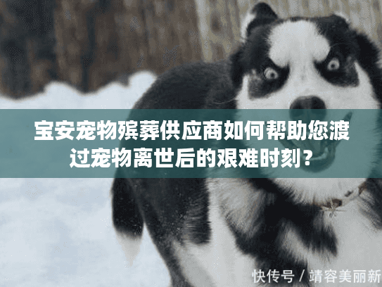 宝安宠物殡葬供应商如何帮助您渡过宠物离世后的艰难时刻？