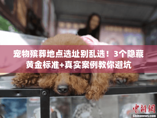 宠物殡葬地点选址别乱选！3个隐藏黄金标准+真实案例教你避坑