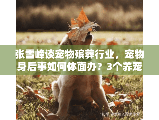 张雪峰谈宠物殡葬行业，宠物身后事如何体面办？3个养宠人必懂的服务真相