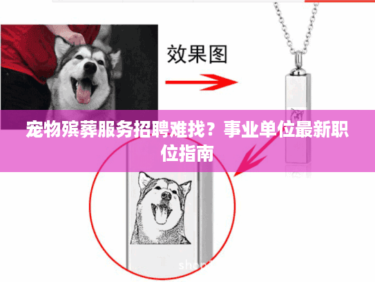 宠物殡葬服务招聘难找？事业单位最新职位指南