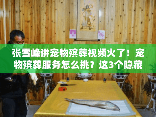 张雪峰讲宠物殡葬视频火了！宠物殡葬服务怎么挑？这3个隐藏坑别踩