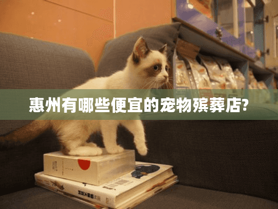 惠州有哪些便宜的宠物殡葬店?