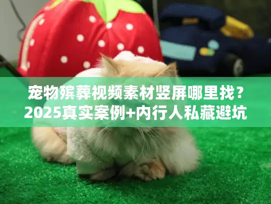 宠物殡葬视频素材竖屏哪里找？2025真实案例+内行人私藏避坑法