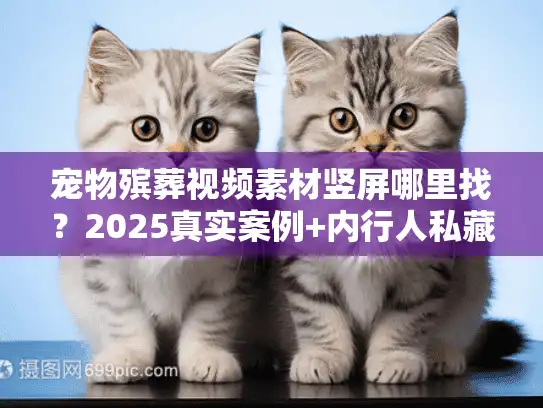 宠物殡葬视频素材竖屏哪里找？2025真实案例+内行人私藏避坑法