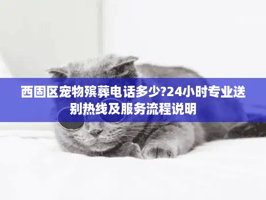 西固区宠物殡葬电话多少?24小时专业送别热线及服务流程说明