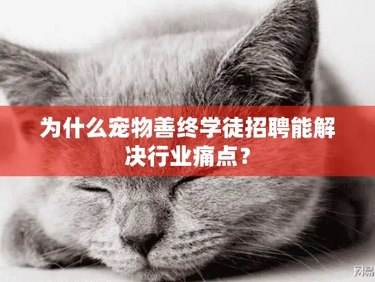 为什么宠物善终学徒招聘能解决行业痛点？