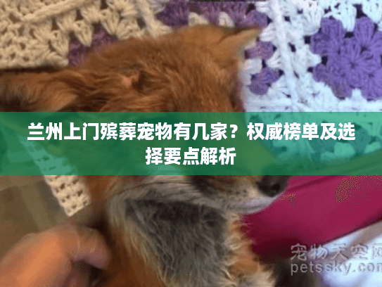 兰州上门殡葬宠物有几家？权威榜单及选择要点解析