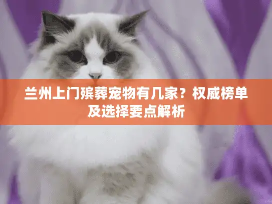 兰州上门殡葬宠物有几家？权威榜单及选择要点解析