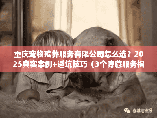 重庆宠物殡葬服务有限公司怎么选?2025真实案例+避坑技巧(3个隐藏服务揭秘) 重庆宠物殡葬服务有限公司怎么选?2025真实案例+避坑技巧(3个隐藏服务揭秘)