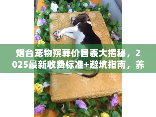 烟台宠物殡葬价目表大揭秘,2025最新收费标准+避坑指南,养宠人必看! 烟台宠物殡葬价目表大揭秘,2025最新收费标准+避坑指南,养宠人必看!