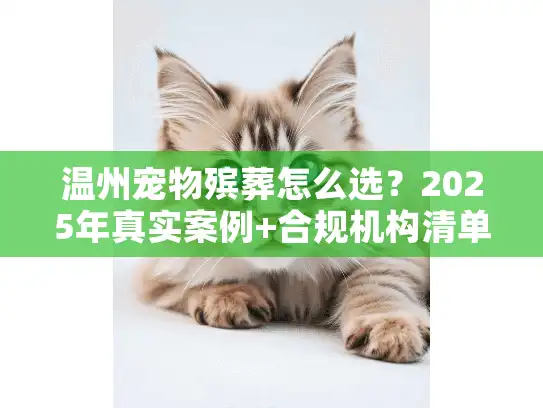 温州宠物殡葬怎么选？2025年真实案例+合规机构清单，避免踩雷！