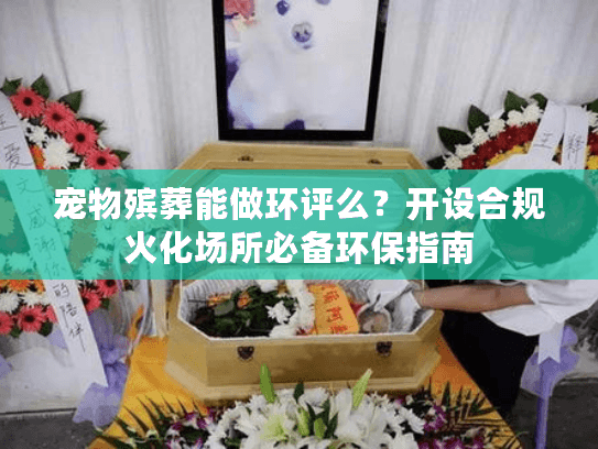 宠物殡葬能做环评么？开设合规火化场所必备环保指南