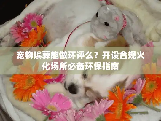 宠物殡葬能做环评么？开设合规火化场所必备环保指南