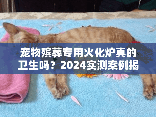 宠物殡葬专用火化炉真的卫生吗？2024实测案例揭露3个关键真相