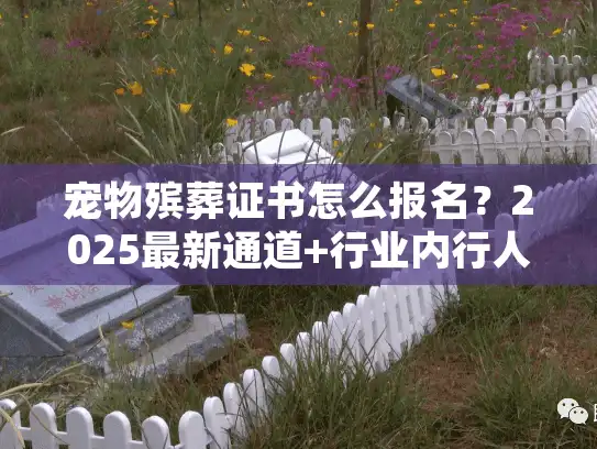 宠物殡葬证书怎么报名？2025最新通道+行业内行人不轻易说的3个关键条件