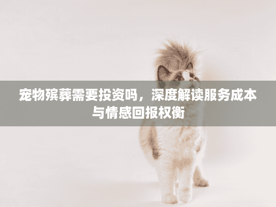 宠物殡葬需要投资吗，深度解读服务成本与情感回报权衡