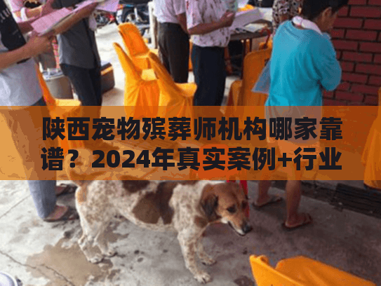 陕西宠物殡葬师机构哪家靠谱？2024年真实案例+行业潜规则揭秘