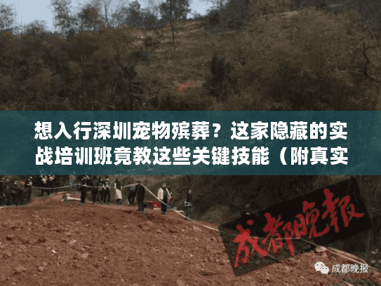 想入行深圳宠物殡葬？这家隐藏的实战培训班竟教这些关键技能（附真实案例）