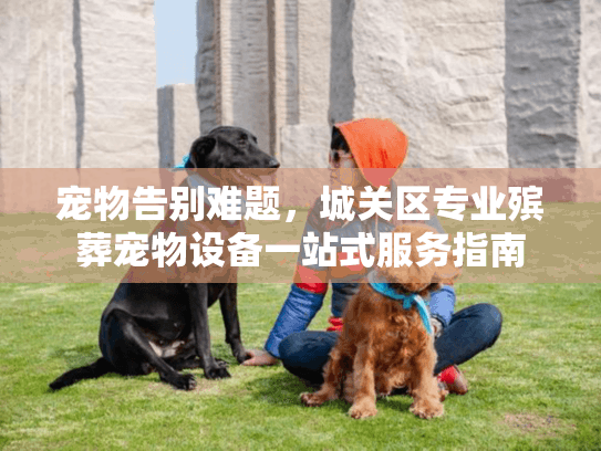宠物告别难题,城关区专业殡葬宠物设备一站式服务指南 宠物告别难题,城关区专业殡葬宠物设备一站式服务指南