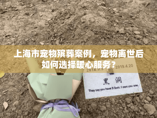 上海市宠物殡葬案例,宠物离世后如何选择暖心服务? 上海市宠物殡葬案例,宠物离世后如何选择暖心服务?
