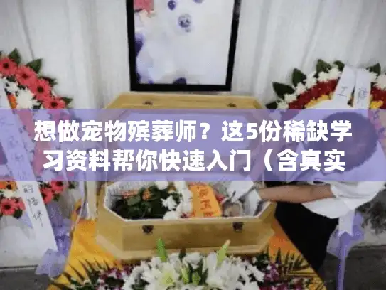 想做宠物殡葬师？这5份稀缺学习资料帮你快速入门（含真实服务案例）