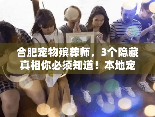 合肥宠物殡葬师，3个隐藏真相你必须知道！本地宠主亲身经历分享