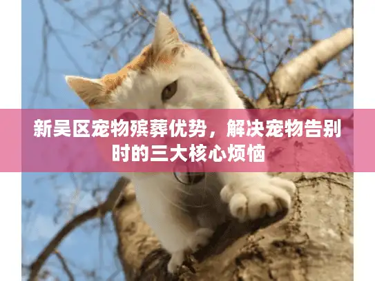 新吴区宠物殡葬优势,解决宠物告别时的三大核心烦恼 新吴区宠物殡葬优势,解决宠物告别时的三大核心烦恼