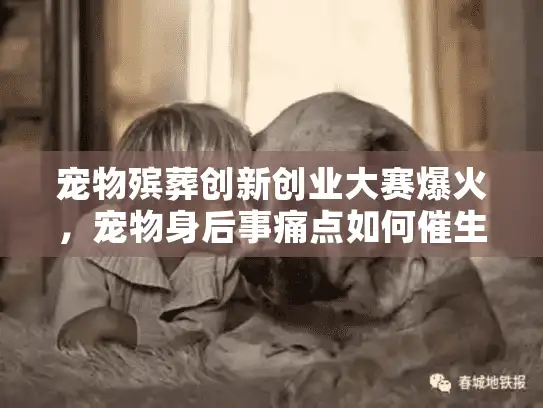 宠物殡葬创新创业大赛爆火，宠物身后事痛点如何催生新商机？