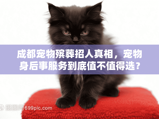 成都宠物殡葬招人真相，宠物身后事服务到底值不值得选？