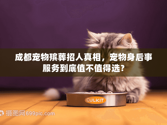成都宠物殡葬招人真相，宠物身后事服务到底值不值得选？
