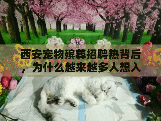 西安宠物殡葬招聘热背后，为什么越来越多人想入行？这3个真相你必须知道