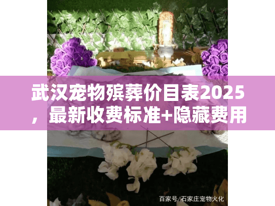 武汉宠物殡葬价目表2025，最新收费标准+隐藏费用揭秘，别再花冤枉钱！