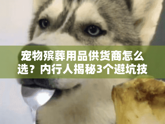 宠物殡葬用品供货商怎么选？内行人揭秘3个避坑技巧+1家靠谱货源案例