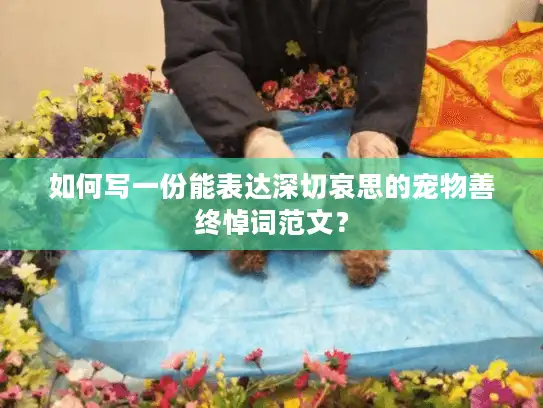 如何写一份能表达深切哀思的宠物善终悼词范文？