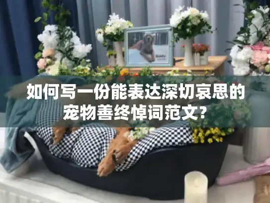 如何写一份能表达深切哀思的宠物善终悼词范文？