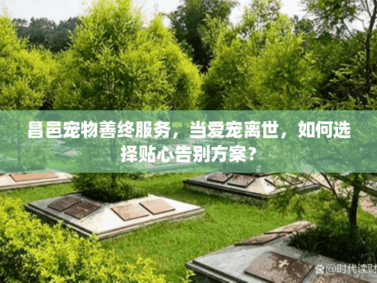 昌邑宠物善终服务，当爱宠离世，如何选择贴心告别方案？