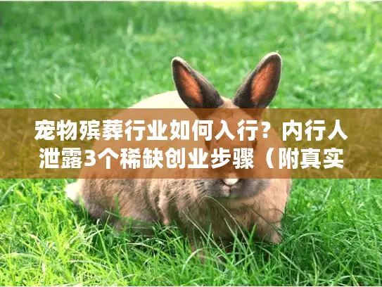 宠物殡葬行业如何入行？内行人泄露3个稀缺创业步骤（附真实案例）