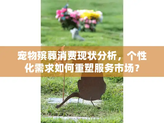 宠物殡葬消费现状分析，个性化需求如何重塑服务市场？