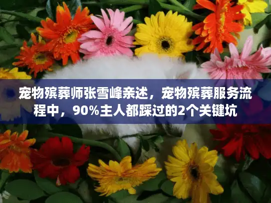 宠物殡葬师张雪峰亲述，宠物殡葬服务流程中，90%主人都踩过的2个关键坑