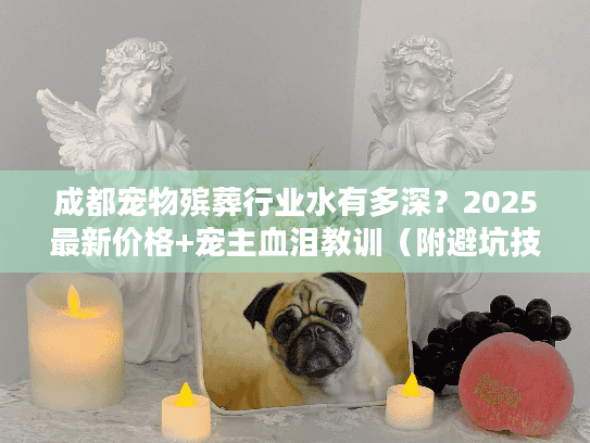 成都宠物殡葬行业水有多深？2025最新价格+宠主血泪教训（附避坑技巧）