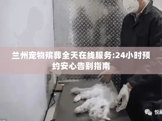 兰州宠物殡葬全天在线服务:24小时预约安心告别指南