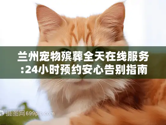 兰州宠物殡葬全天在线服务:24小时预约安心告别指南