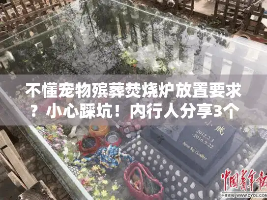 不懂宠物殡葬焚烧炉放置要求？小心踩坑！内行人分享3个合规关键