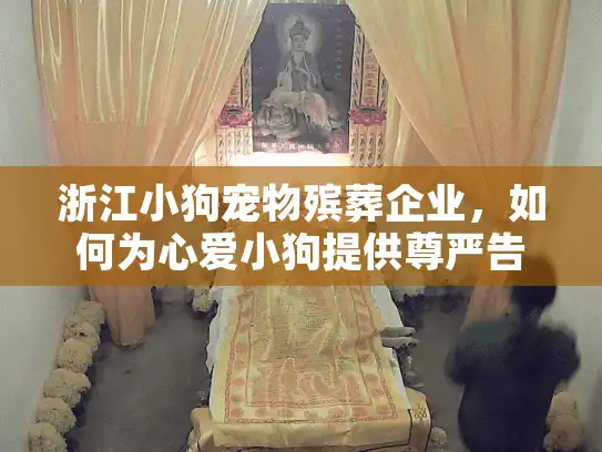 浙江小狗宠物殡葬企业，如何为心爱小狗提供尊严告别与环保安葬服务？