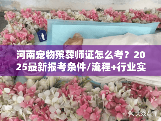 河南宠物殡葬师证怎么考？2025最新报考条件/流程+行业实操干货