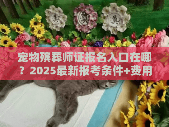宠物殡葬师证报名入口在哪？2025最新报考条件+费用+行业内幕全揭秘