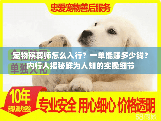 宠物殡葬师怎么入行？一单能赚多少钱？内行人揭秘鲜为人知的实操细节