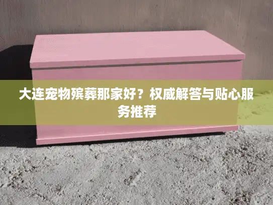 大连宠物殡葬那家好？权威解答与贴心服务推荐